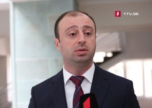 Մեղադրող Լաշա Կոտրիկաձեն նշում է, որ Զուրաբ Ջափարիձեի դեմ հարուցված քրեական գործում որևէ սահմանում կանգնեցնելու խնդրանք չկա