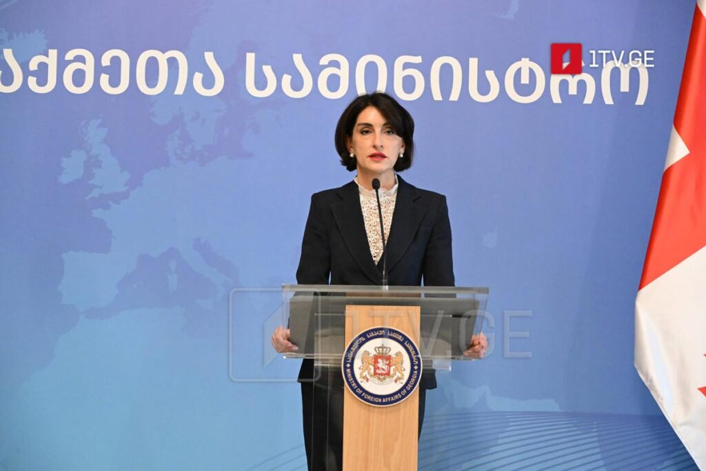 FM: Georgia is highly relevant for the OSCE Chairmanship given its regional capabilities and challenges