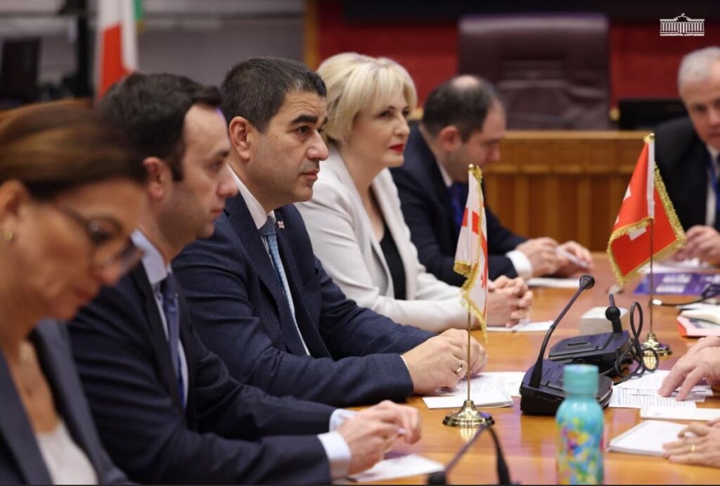Georgian Parliament Speaker meets Swiss National Council President Pierre-André Page in Rome