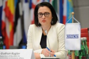 Гудрун Куглер – Призываю грузинские власти отозвать конституционный иск и прекратить политически мотивированное преследование